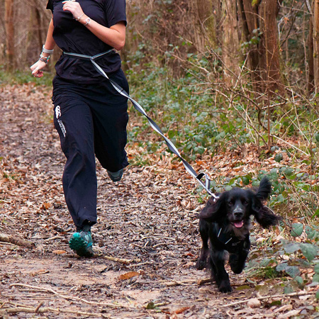 Smycz do biegania z amortyzatorem Mountain Paws - 281 cm