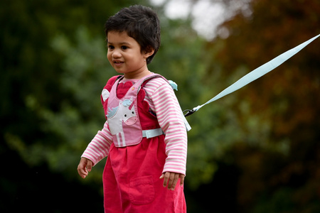 Szelki bezpieczeństwa LittleLife - Jednorożec