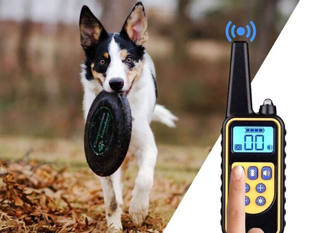 ELEKTRYCZNA OBROŻA TRENINGOWA DLA PSA Z PILOTEM WODOODPORNA ZASIĘG 800 M
