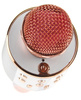 MIKROFON BEZPRZEWODOWY KARAOKE BLUETOOTH + GŁOŚNIK