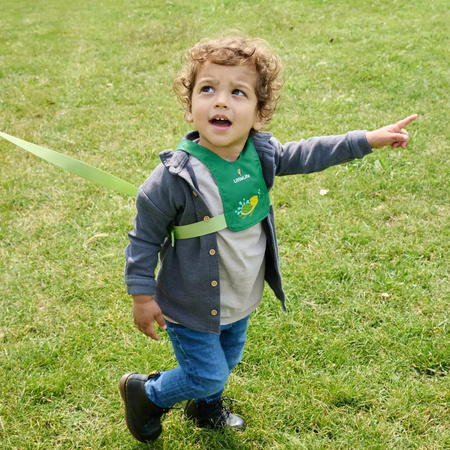 Szelki bezpieczeństwa LittleLife - Żółw