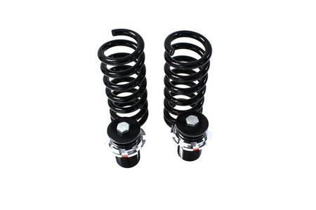 Zawieszenie gwintowane Street D2 Racing BMW F20 4/6CYL  CYL (excl.M-Technik.xDrive & EDC) 10+