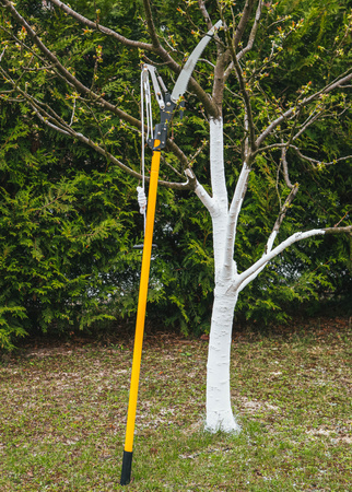 SEKATOR TELESKOPOWY PM-SKTT-2.4T