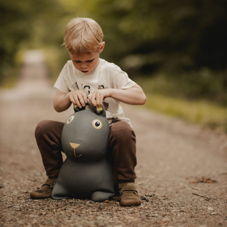 Skoczek Find that Hippo - Królik