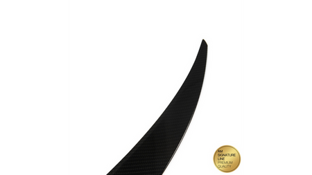 Lotka Lip Spoiler Carbon Look BMW X6 E71 E72 2007-2014