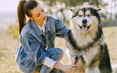 SZCZOTKA GRZEBIEŃ ZGRZEBŁO DO SIERŚCI PSA KOTA XL 16CM