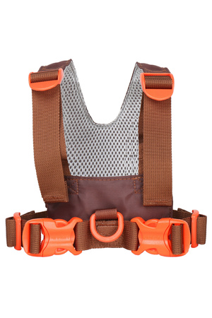 Szelki bezpieczeństwa LittleLife - Stegozaur