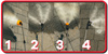 Opryskiwacz akumulatorowy RTOA0109