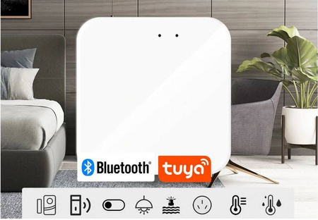 Centrala Bramka Brama BLUETOOTH WIFI TUYA SMART