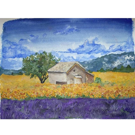 Zestaw farb z pędzelkiem Natural Earth DISCOVERY 6 szt.