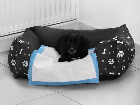 PODKŁADY CHŁONNE DLA PSA 60 X 90 50 SZT. MATY HIGIENICZNE DO NAUKI SIKANIA + WORKI