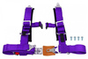 Pasy sportowe 4p 2" Purple - DTM