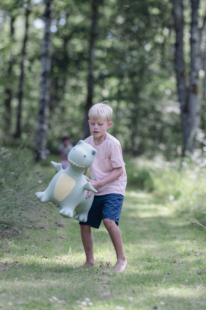 Skoczek Find that Hippo - Dinozaur