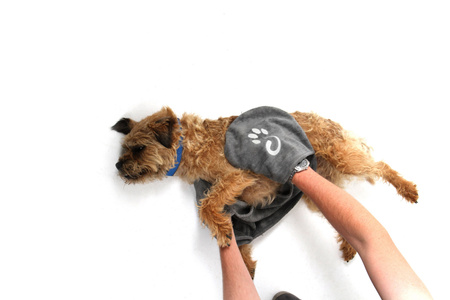 Ręcznik do wycierania psa Mountain Paws