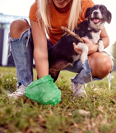 WORECZKI NA PSIE ODCHODY 24 ROLKI + ETUI WORKI NA KUPY ZWIERZĘCE MOCNE WYTRZYMAŁE BIODEGRADOWALNE