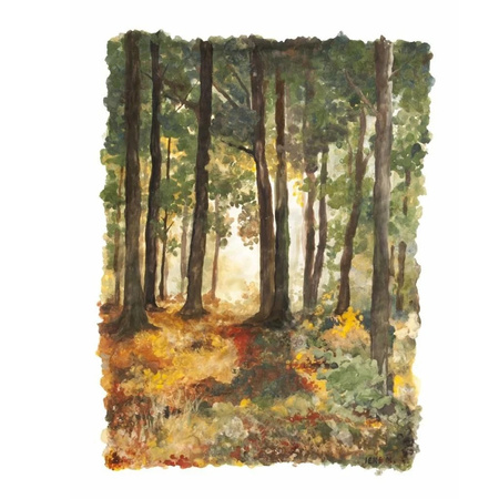 Zestaw farb z pędzelkiem Natural Earth DISCOVERY 6 szt.