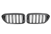 GRILL (NERKI) BMW G30 G31 DOUBLE M5 LOOK GLOSSY B
