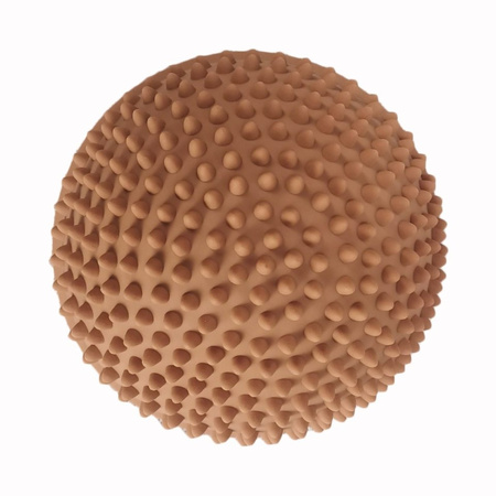 Ścieżka sensoryczna Find that Hippo - Zachód słońca