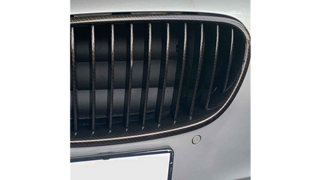 BM100540CBS - Sport Performance Grille Carbon Look  BMW F10 F11 Bj. 10-18