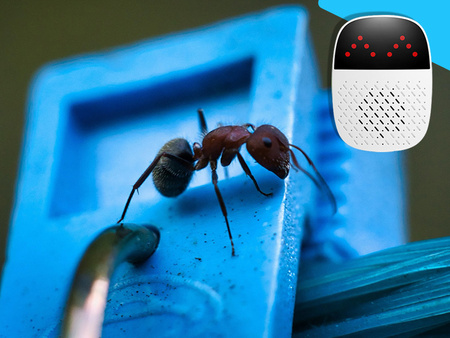 ODSTRASZACZ ULTRADŹWIĘKOWY NA GRYZONIE OWADY KUNY SKUTECZNY ODSTRASZACZ PRZECIW SZKODNIKOM DO KONTAKTU