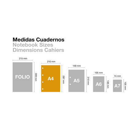 Notebook Miquelrius A4 NB1 SAND 80 stron kratka