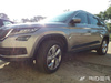 Skoda Kodiaq listwy boczne
