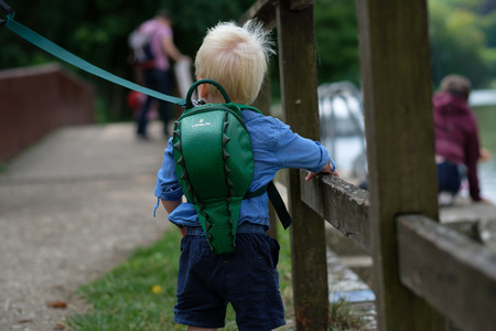 Plecaczek LittleLife Animal - Krokodyl