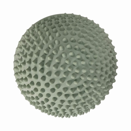 Ścieżka sensoryczna Find that Hippo - Zachód słońca