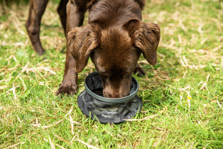 Składana, turystyczna miska na wodę dla psa Mountain Paws  Camo