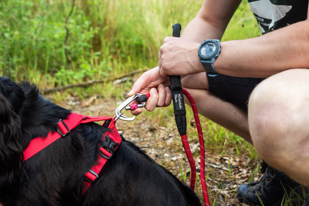 Smycz linowa dla psa Mountain Paws - 120cm  Czerwona