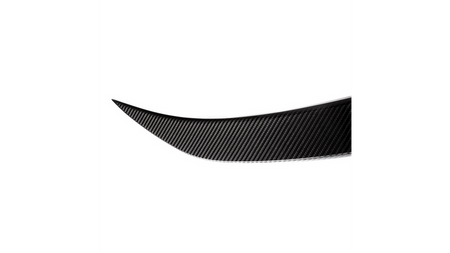 Lotka Lip Spoiler Carbon BMW 3 F30 2011-2018