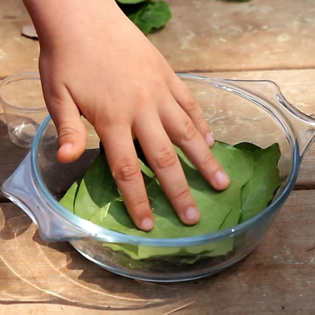Zestaw do robienia eksperymentów The Purple Cow Einstein - Szkoła Przetrwania