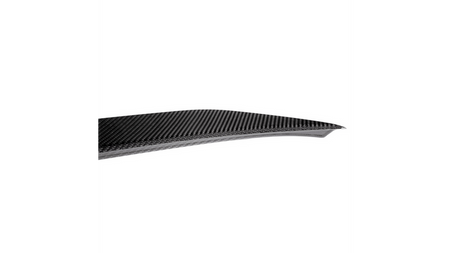 Lotka Lip Spoiler Carbon BMW 3 F30 2011-2018