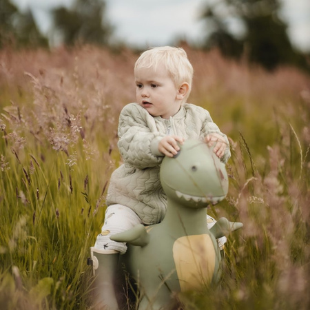 Skoczek Find that Hippo - Dinozaur