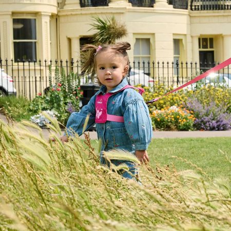 Szelki bezpieczeństwa LittleLife - Motyl