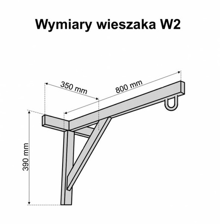 Wieszak W2S na worek bokserski do 100 kg