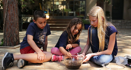 Zestaw do robienia eksperymentów The Purple Cow - Szkoła Przetrwania