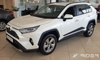 Toyota Rav4 2019 listwy boczne F-64