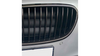 BM100540CBS - Sport Performance Grille Carbon Look  BMW F10 F11 Bj. 10-18