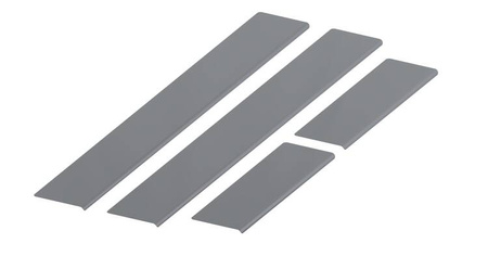 Progi STANDARD Renault Scenic II Van 5 2003-2009 - Carbon