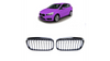 Grill sportowy pojedyncze żeberka Gloss Black BMW 2 F45 przed liftem 2014-2018
