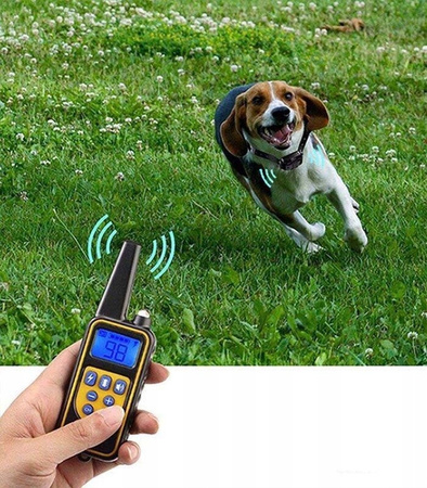 ELEKTRYCZNA OBROŻA TRENINGOWA DLA PSA Z PILOTEM WODOODPORNA ZASIĘG 800 M