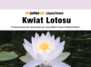 Biopaliwo zapachowe 1l Kwiat Lotosu