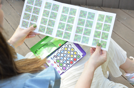 Gra magnetyczna The Purple Cow - Sudoku kształty