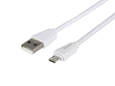 Ładowarka MYWAY 12/24V 2x USB 2.1A + kabel z zespoloną wtyczką microUSB + Lightning 