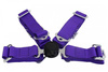 Pasy sportowe 4p 2" Purple - Quick