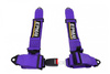 Pasy sportowe 4p 3" EPMAN Purple