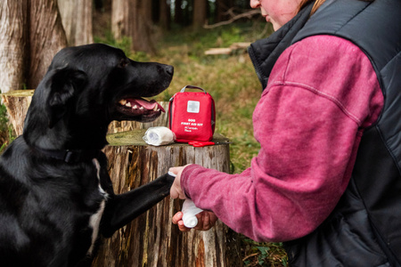 Apteczka pierwszej pomocy dla psa Mountain Paws