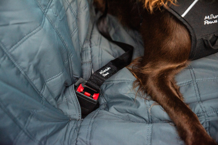 Pas bezpieczeństwa do samochodu dla psa Mountain Paws