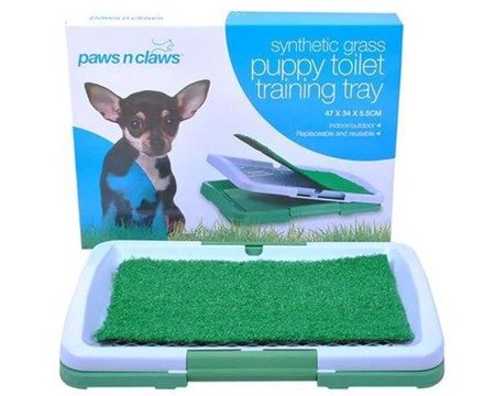 Kuweta dla psa psów szczeniąt z trawą do nauki